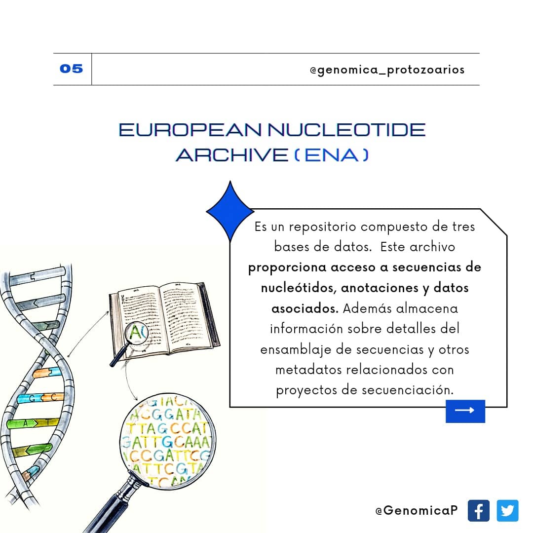 GenomicaP's tweet photo. #pdb #ena #dna #nucleotides #omics #genes #biology🔬 https://t.co/MZ2BdqTMXy