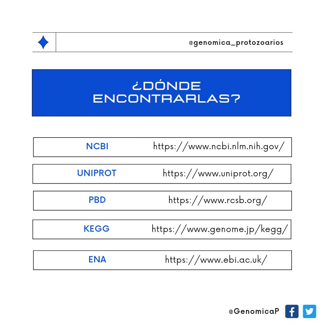 GenomicaP's tweet photo. #pdb #ena #dna #nucleotides #omics #genes #biology🔬 https://t.co/MZ2BdqTMXy