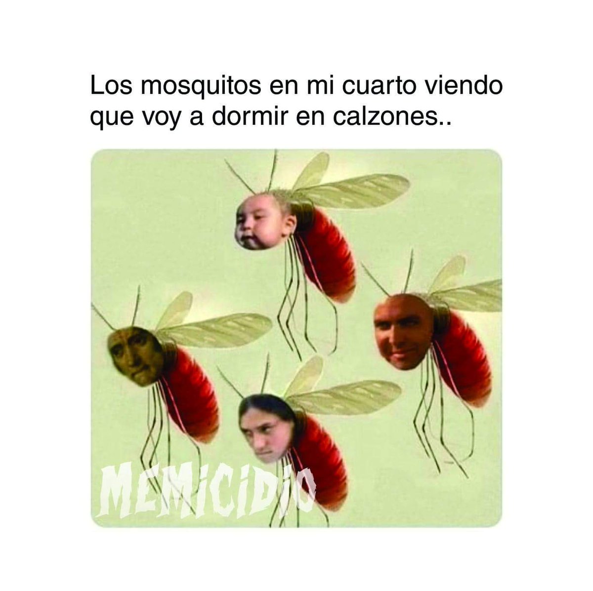 memicidio's tweet photo. Cagaste bro 😂
.
.
.
.
.
#meme #memicidio #mardelplata #dormir #mosquito #mosquitos #calor #insomnio #picar #dolor #granitos #granos #picazon #sueño #calzones #desnudo https://t.co/TNaON6UrnI