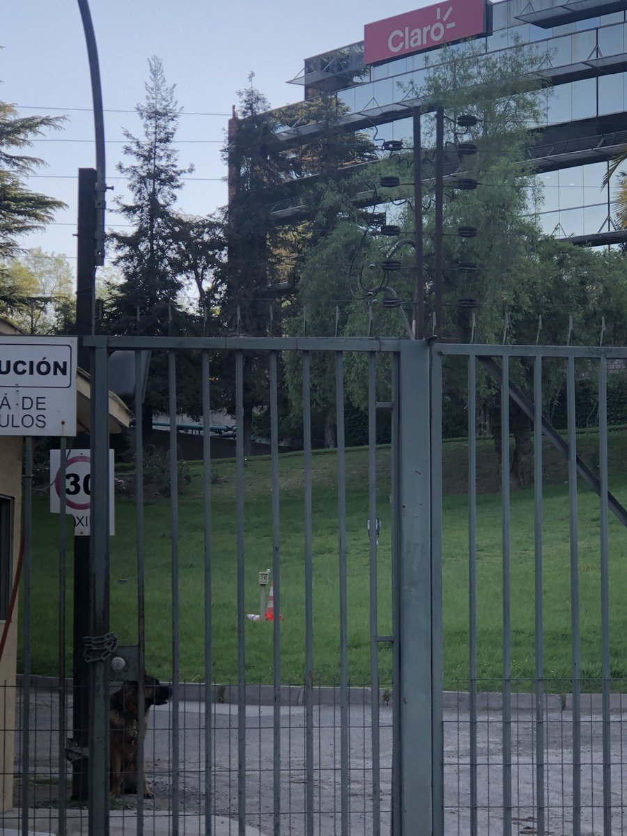 Jessyk_84's tweet photo. @clarochile_cl de Ciudad Empresarial, al pasar por fuera, triste postal de Pastor alemán amarrado con cadena al pilar lateral de la caseta del guardia… 😭😤 @FundacionApla https://t.co/c6LcRniiPx