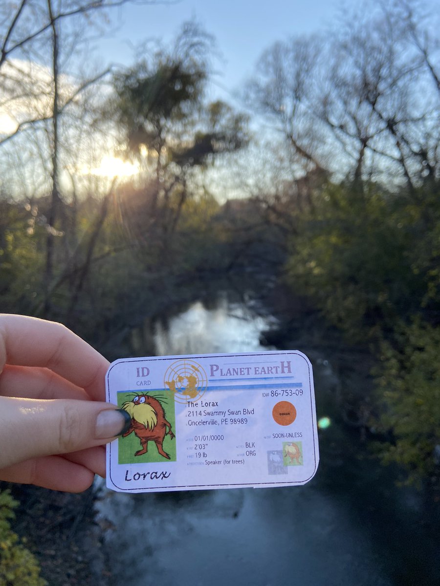 In the summer trees surrounding the river provide shade. This shade is important because the river won’t get too hot which could result in low biodiversity which isn’t ideal. #apeswater <a href="/franklinlorax/">APES Project Lorax</a>
