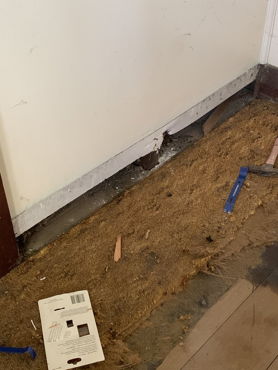 Digital_Kitteh's tweet photo. House renovations! Its been a long process due to covid lockdowns but picking up where we left, sanding floors today! Looks sooooo good!! https://t.co/fROjJND2ST