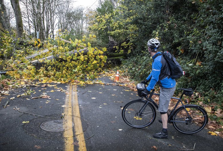 manuscriptae's tweet photo. @RavennaBlog Also this today, on Ravenna Avenue NE (from the Seattle Times): https://t.co/5P7ep1WGlC