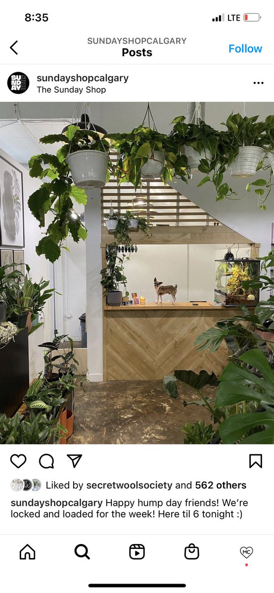 mrktcollective's tweet photo. Welp, this booth is certainly going to be a breath of fresh air. Welcoming Sunday Shop, a new shop in YYC and a new artisan to MC. December 10-12. 🍃 https://t.co/TSS5mn8Pvx