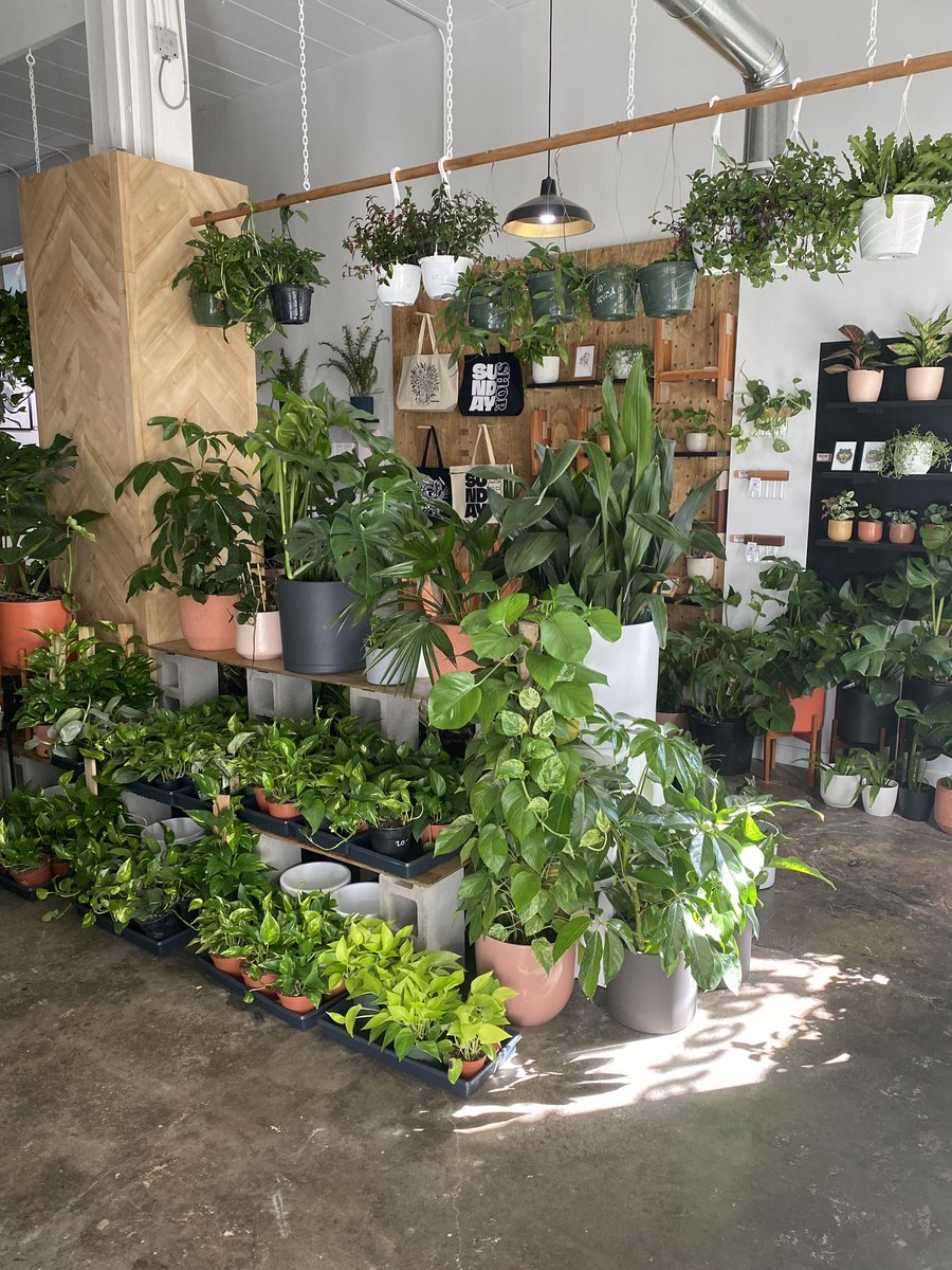 mrktcollective's tweet photo. Welp, this booth is certainly going to be a breath of fresh air. Welcoming Sunday Shop, a new shop in YYC and a new artisan to MC. December 10-12. 🍃 https://t.co/TSS5mn8Pvx