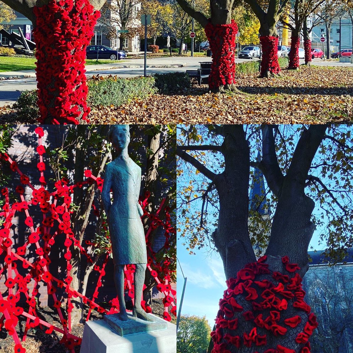 koning2004's tweet photo. The @CambridgePoppy project is an amazing tribute honouring our veterans. Everyone should check this out. #takethepoppytour #lestweforget #Remembranceday2021 https://t.co/AzpyazFEkL