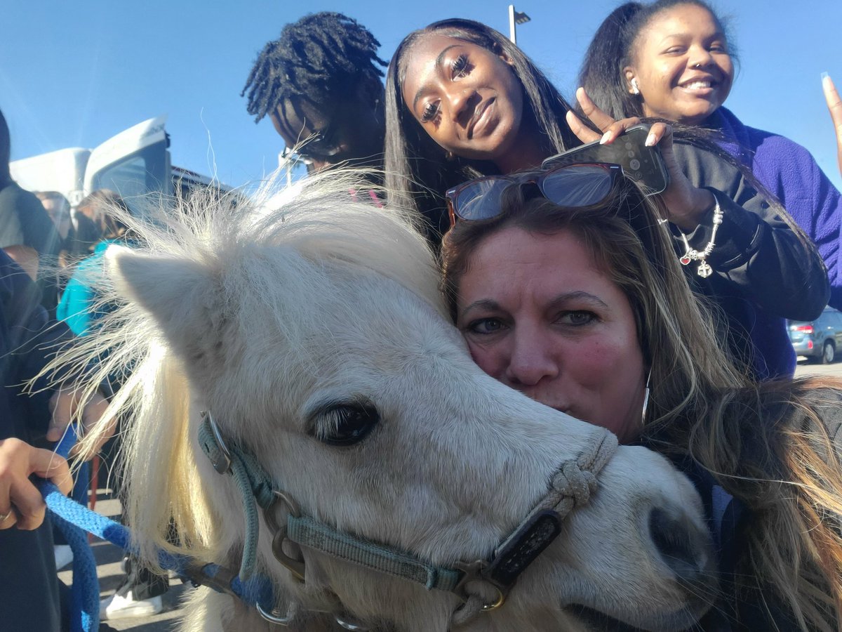 BTBiosci's tweet photo. Miniature horses!!!🐴🐎
Our Pet Therapy Capstone students welcomed back Cincinnati Therapy Riding and Horsemanship miniature therapy horses, Graham Cracker and Tater Tot! Wonderful programs at #CTRH and a great day for us! #pettherapy #onebutlertech https://t.co/bA0xOvV69x