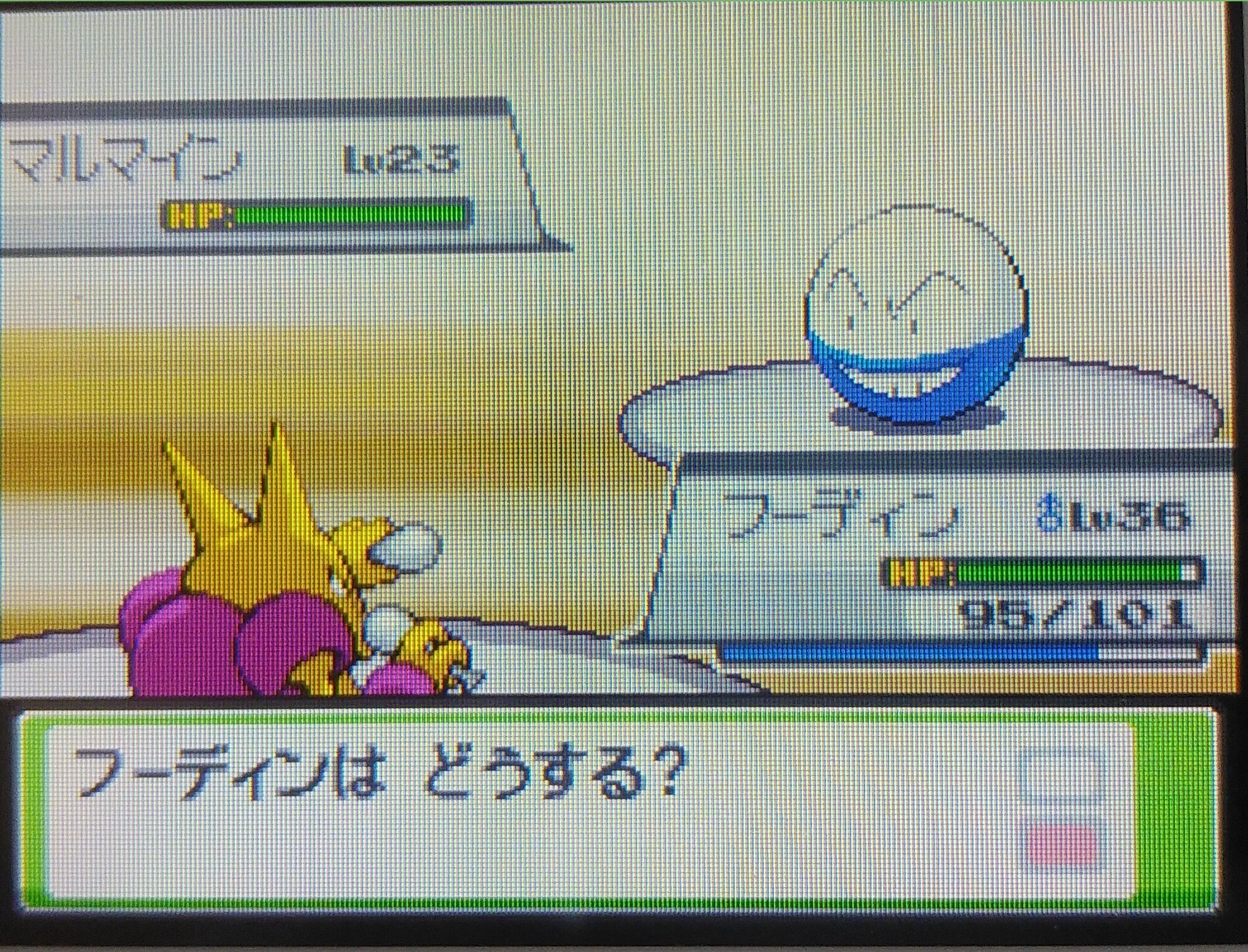 音楽好きな色ポケ勢 Pokemonzaka Twitter