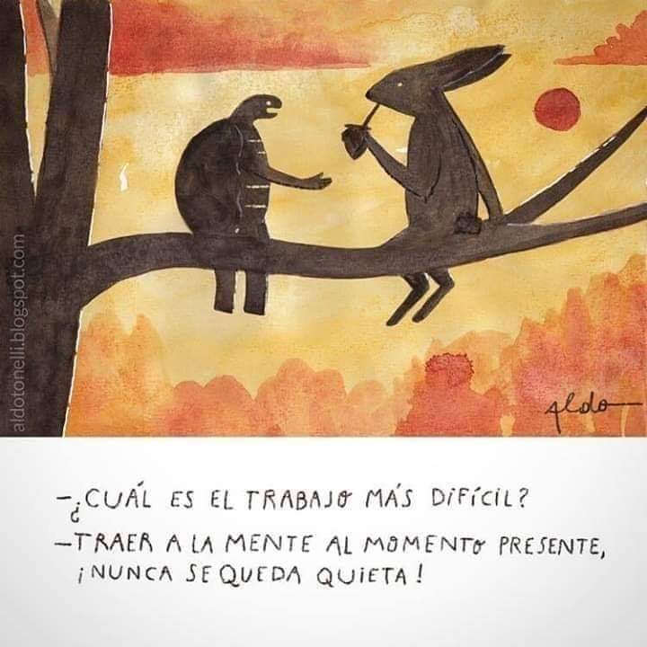 danielanl99's tweet photo. ¡Nunca se queda quieta!
#fotota https://t.co/aLVb2dQ51O