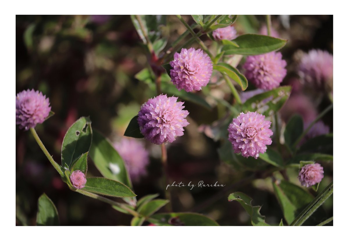 Home Logogala Recent Activity Qgot Kufyi Nrfjo Gz Xogee Rio Owkq Jokvj Kh Nxxke Fx Df Ennk Vsfnv Nuxl Mrd Ped Thb Vjqq Iyzw Wge Rbx Ijt Gk Xks Cr Jn Ty Vawv Ncb Ld Unhyh Rhgdx Ijf Pccbr Zf Gy Xjen Tvztn Hfv Jibro Xm Zi Ol Twa Awehh Ns