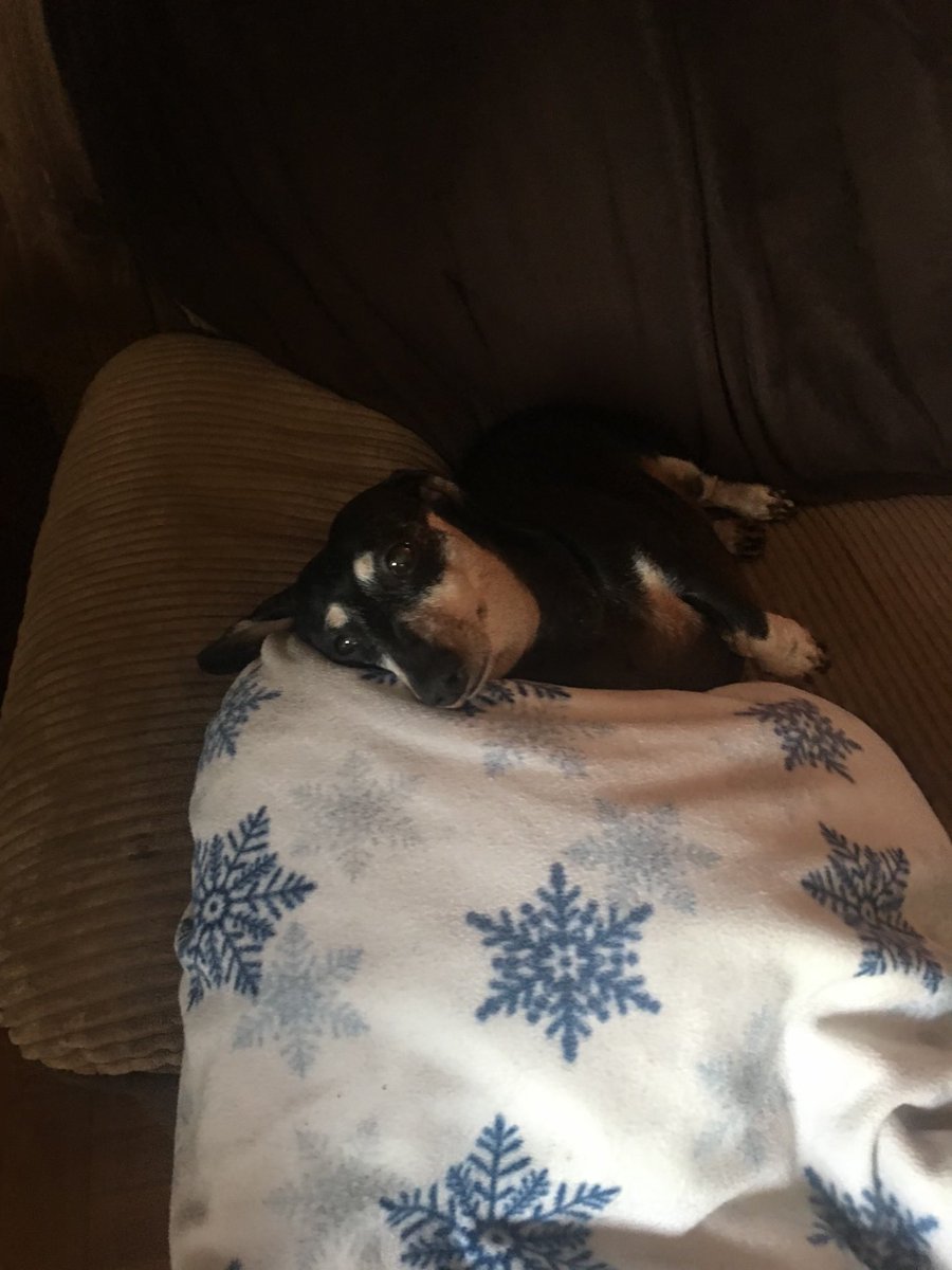 Victory 🏳️🌈 tweet media