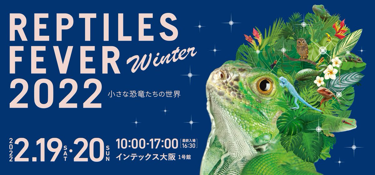 レプタイルズフィーバー Tvo Reptiles Twitter レプタイルズフィーバー Tvo Reptiles Twitter