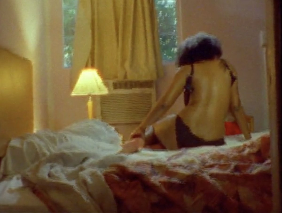 numa perrier tweet media