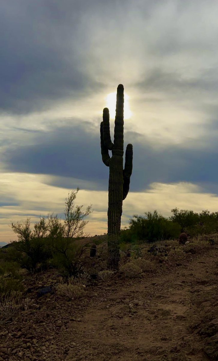 Marce_AZ's tweet photo. 8.5 trail miles ✅ It was a bit of a cloudy morning and perfect weather. I loved it! 👌🏼
#TrailRun #Arizona #LifeInAZ #OptOutside #Tuesday #RunHappy https://t.co/gNeS73ztN1