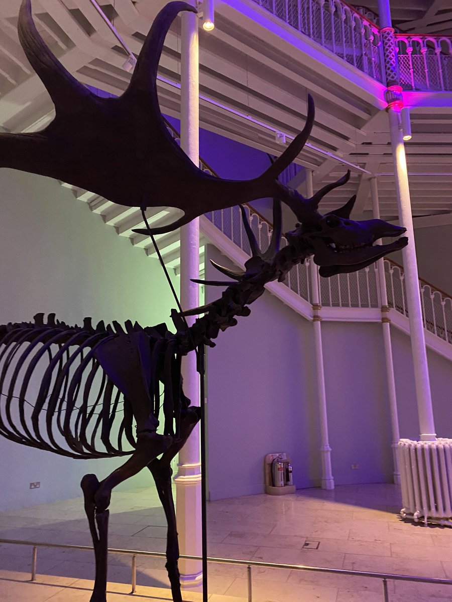 Jilly Johnson tweet media