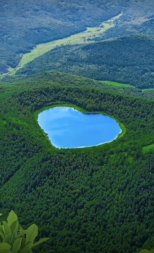 اللهم لك الحمد حمدا طيبا مباركا فيه
الحمدلله🤲