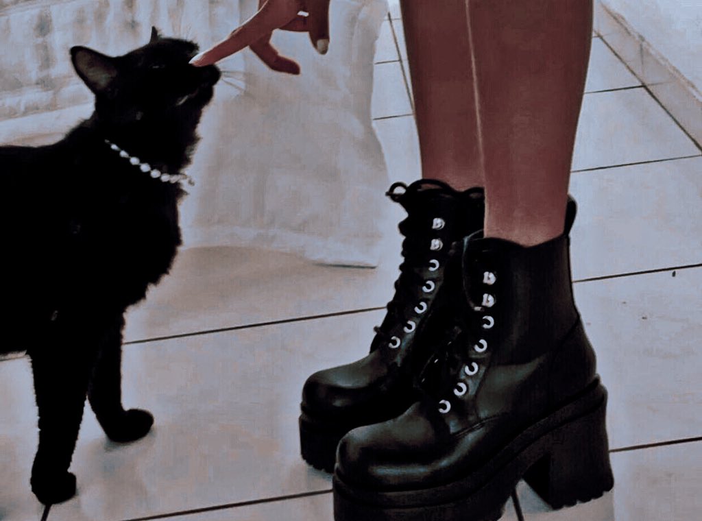 ⁣

           she is just getting moved into the ⁣
     neighborhood of woodsboro — nervous, ⁣
           anxious, and a little bit at ease.⁣
        new people,  school, A whole new ⁣
               setting for 𝚖𝚒𝚜𝚜 𝚝𝚑𝚘𝚖𝚙𝚜𝚘𝚗.⁣
⁣
⁣