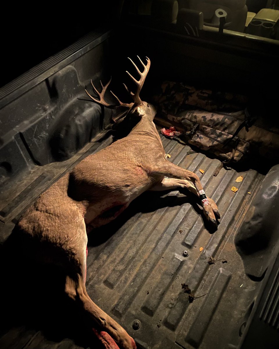 DogginwithLevi's tweet photo. One last ride…
•
•
•
•
#whitetail #tailgatepics #backofthetruck #bigbucks #montana #deerhunting #maturebucks #bucknamedjoe #lightsout https://t.co/OcKvqot6ep