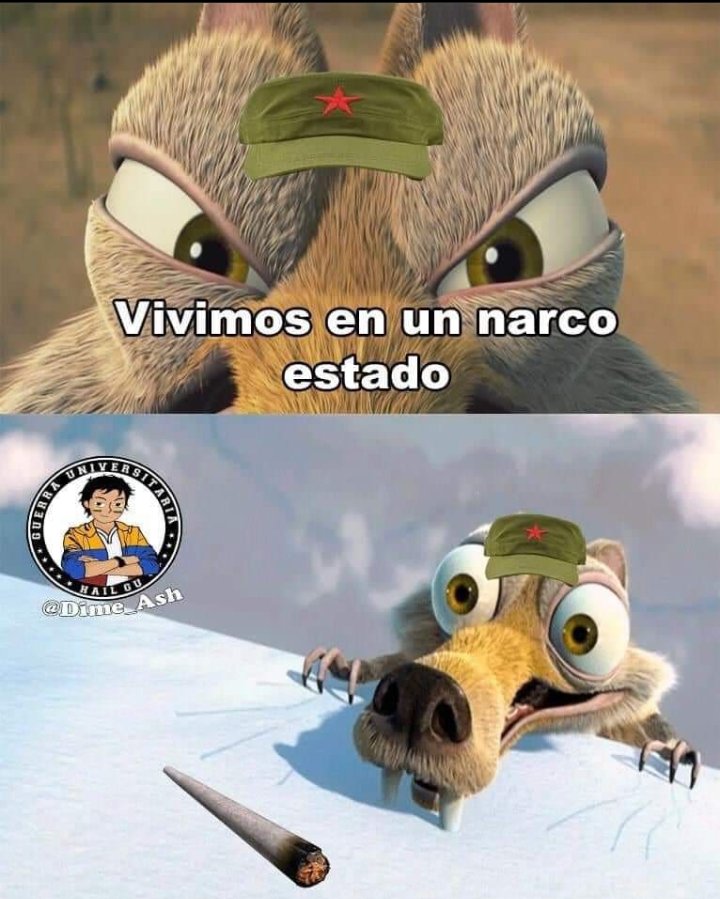 misse_martin's tweet photo. Zurdos promedio... https://t.co/XcS3ZUoM93