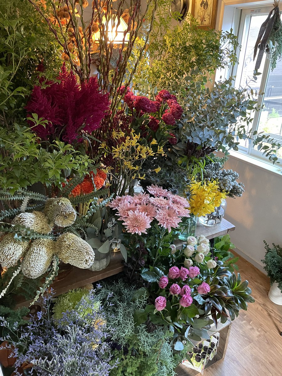 川越花屋 Konoha Cormoranto1 Twitter