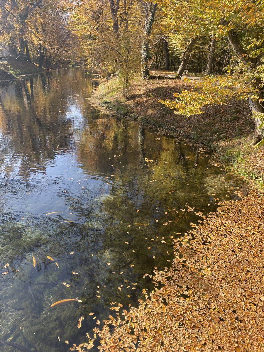 NailaVekilova's tweet photo. My beautiful #Azerbaijan land presents a wonderful colors of autumn. This is #Nabran https://t.co/r3igrapsm1