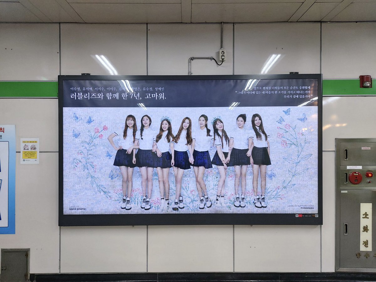 퐁당 tweet media