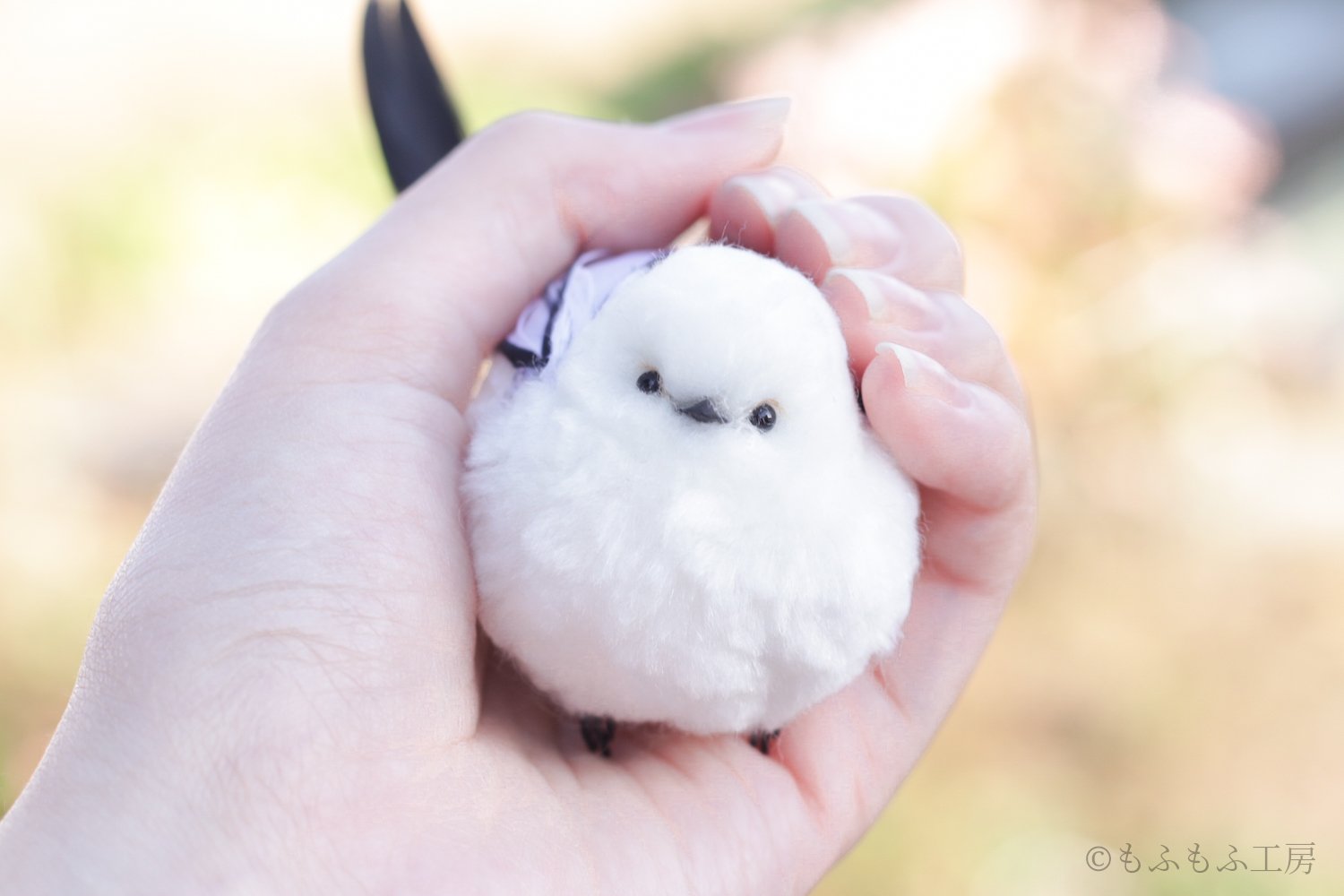 手乗りシマエナガ