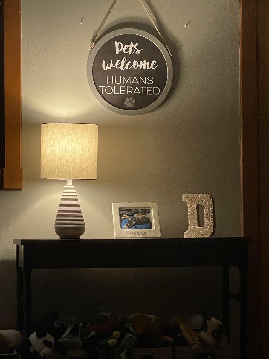 murph_morg's tweet photo. Mama has redecorated a bit. We approve of da sign ๐พ๐คฃ๐ถ #dogsoftwitter #rescuedogs #dogs #pets #petswelcome #humanstolerated https://t.co/9mo9fzKjcv