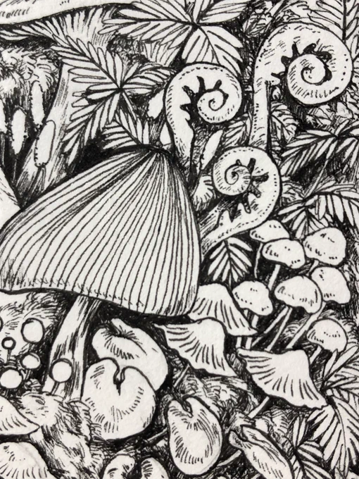 🍄 