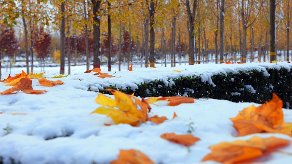 Thisisweinan's tweet photo. After the snow, He Yang in Weinan, Shaanxi is as pretty as a picture. What a wonderland! #Shaanxi #Heyang #travelphotography #Weinan https://t.co/balEIMLpuL