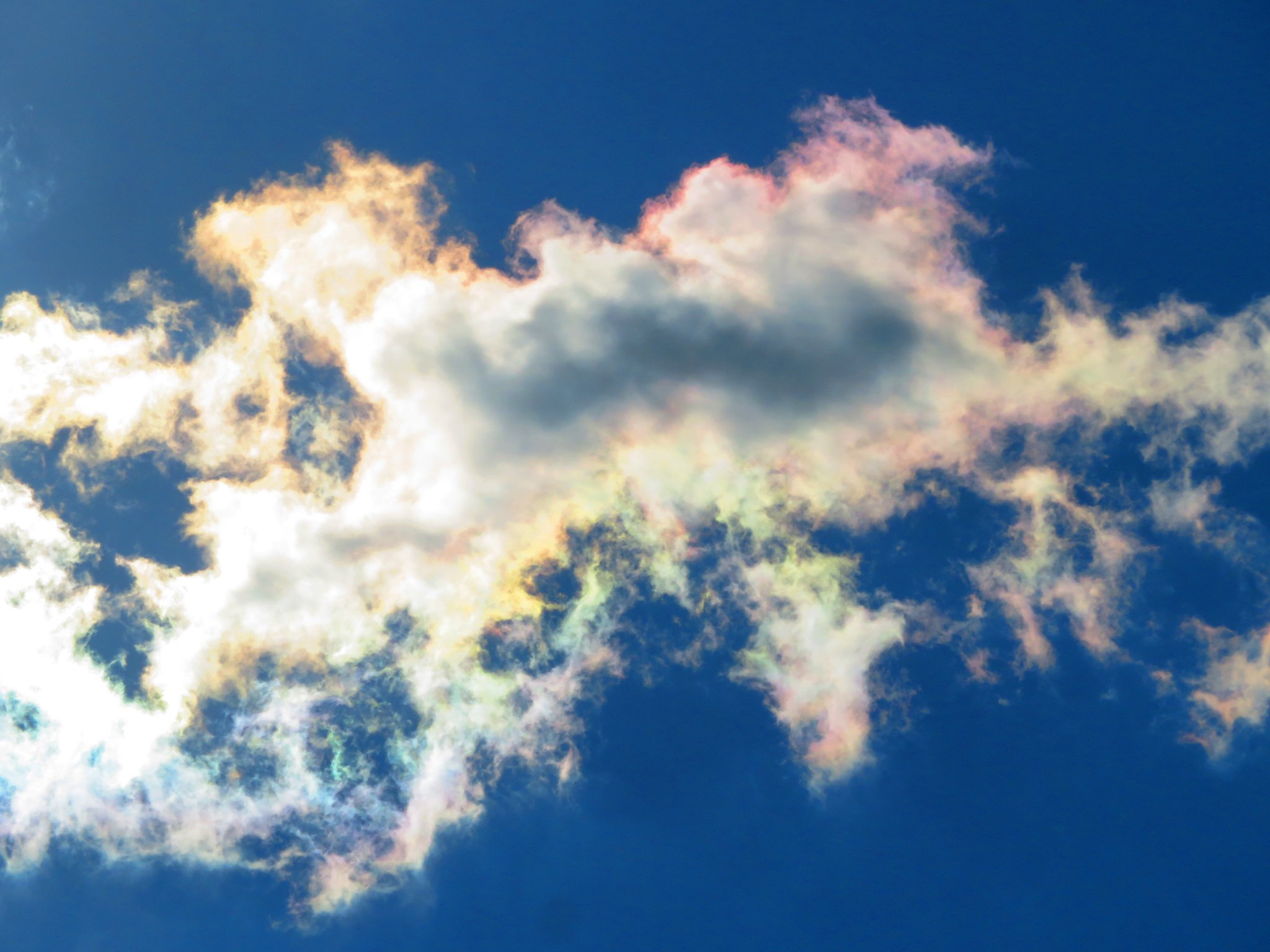 ◆空◆荒木孝介 直送 新品 SM【パステル・色鉛筆等】◆丁寧梱包◆風景画 雲 FDzaLKBakAA3xqc.jpg:large