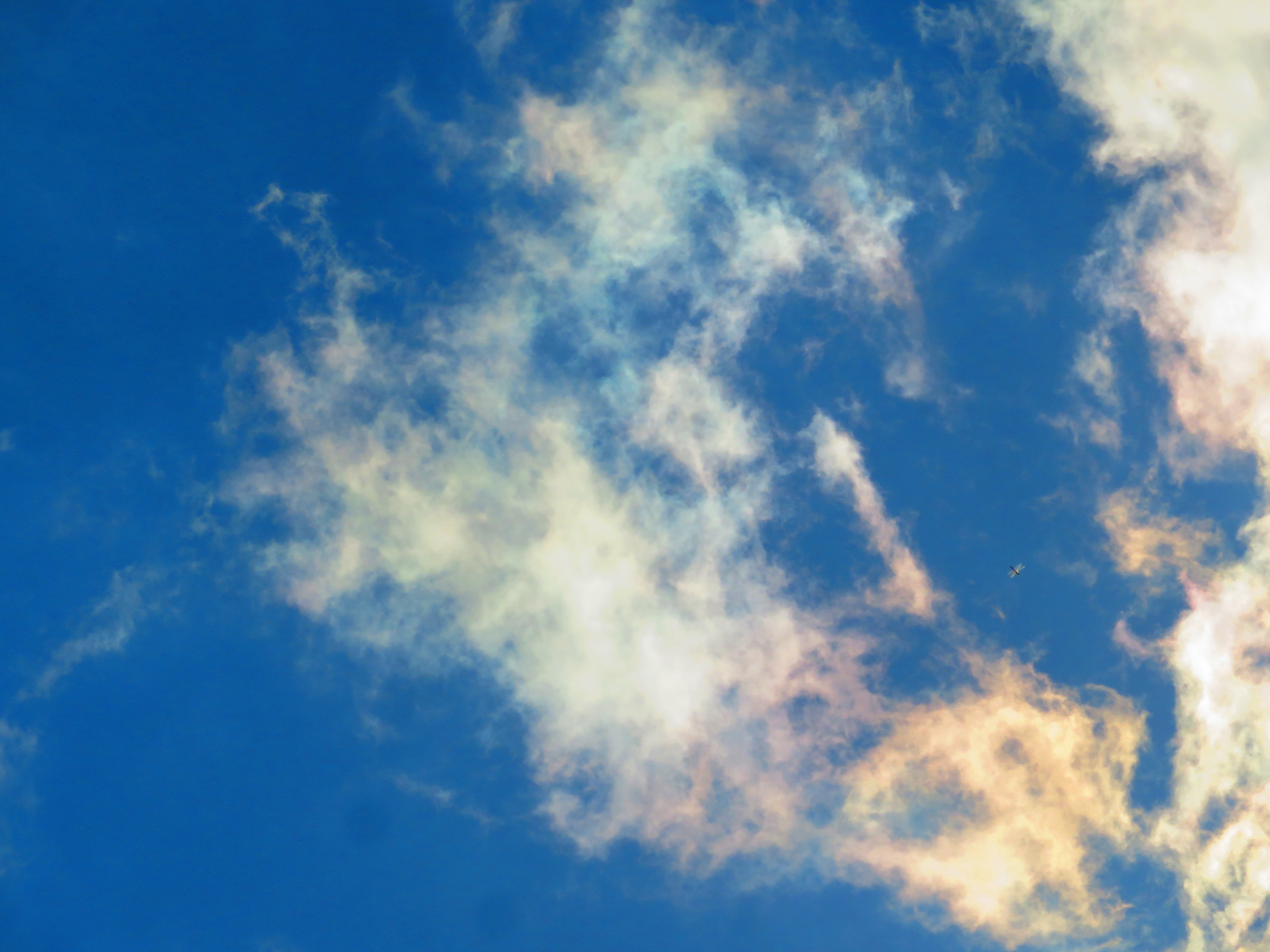 ◆空◆荒木孝介 直送 新品 SM【パステル・色鉛筆等】◆丁寧梱包◆風景画 雲 神保町New Galleryにて、写真家／プロスケーター・荒木塁 個展