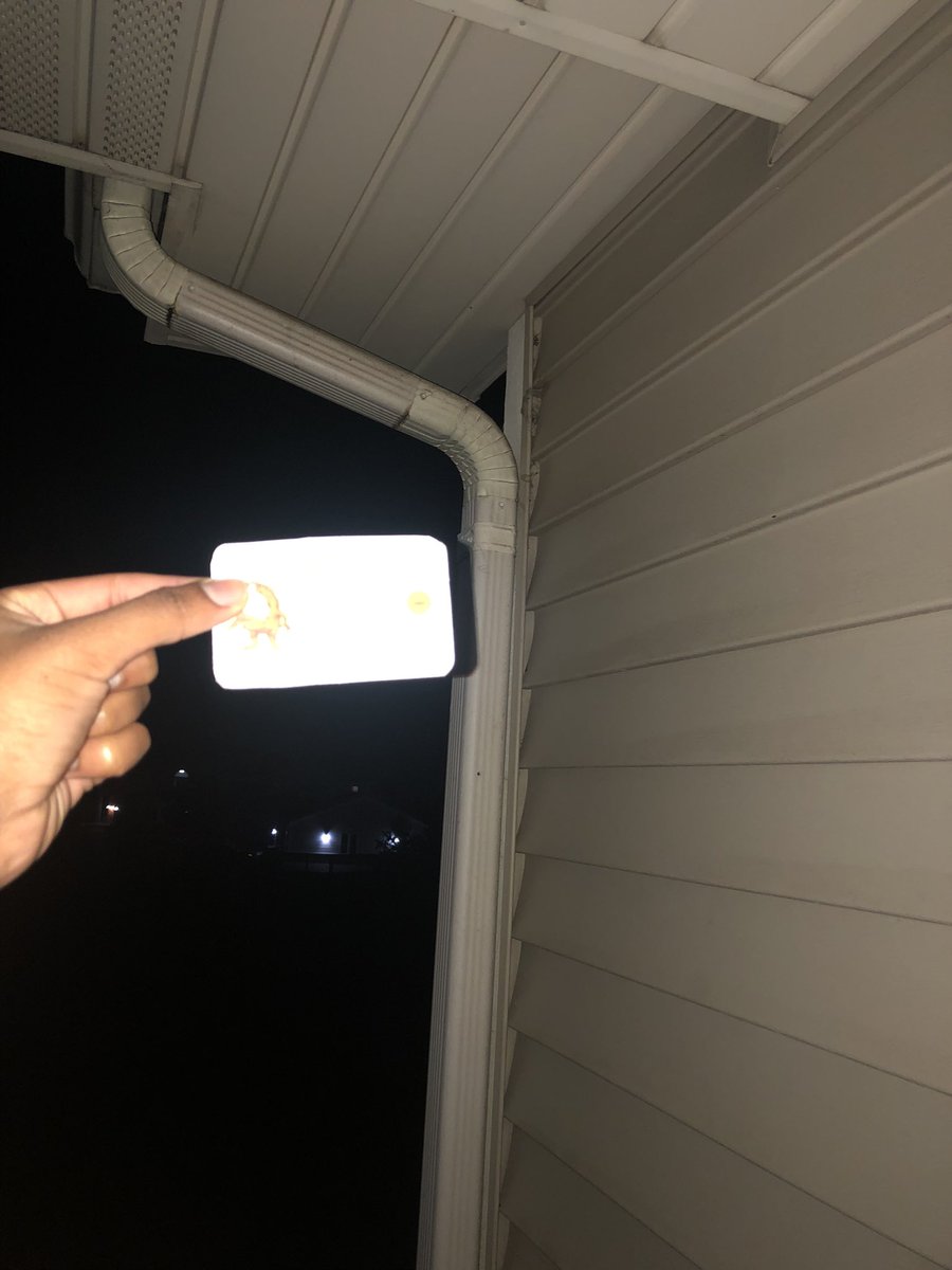student8887's tweet photo. Our houses are impermeable surfaces so to eliminate our lifestyles as an obstacle we redirect water through drainage systems like these. #apeswater  @franklinlorax https://t.co/06QK00h45t