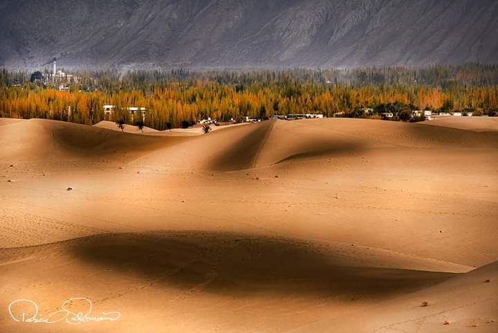TravellingInPak's tweet photo. Beautiful Katpana Desert Pakistan.🇵🇰😍❤️ https://t.co/JoJp3nqDf9