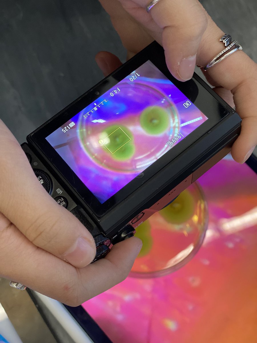 Some STEAM collaboration taking place in the Art department this morning… Year 12 have been exploring the work of <a href="/DashaPlesen/">DashaPlesen</a> using marbled paper, textiles elements and lightboxes to capture mold samples in interesting ways. Thanks to the <a href="/HarrowhkScience/">HarrowHK Science</a> for their support!