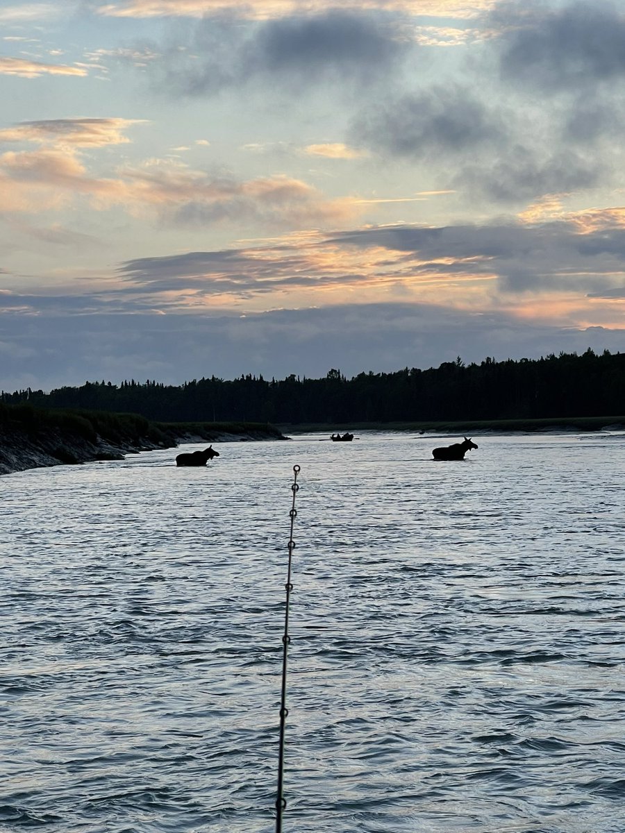 David Dunham tweet media