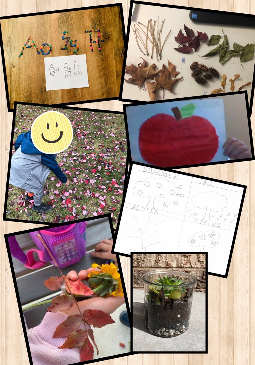 MsRehine's tweet photo. Having fun with our Choice Board Activities! https://t.co/Zksvv4Dd4Y