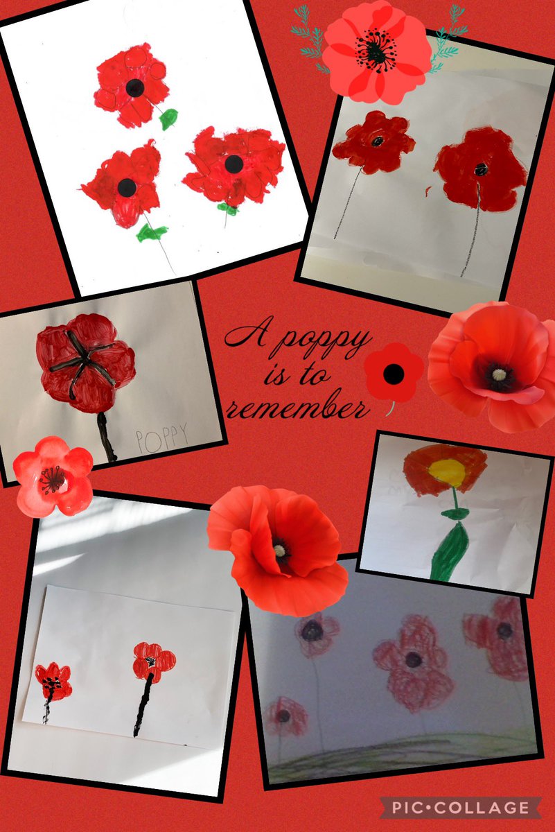 MsRehine's tweet photo. A poppy is to remember #RemembranceDay https://t.co/4NfrSYYX2G