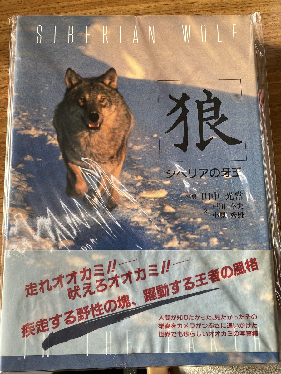 オーロラ 映画 最新情報まとめ みんなの評価 レビューが見れる ナウティスモーション 5ページ目