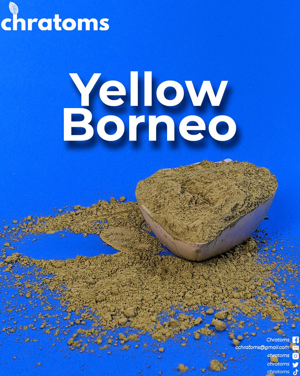 chratoms's tweet photo. Yellow Borneo Kratom Powder is a Red Vein Borneo leaf that is dried using a special technique that causes it to feel uniquely in between a Red and Green vein. https://t.co/CpjoxFhPfT