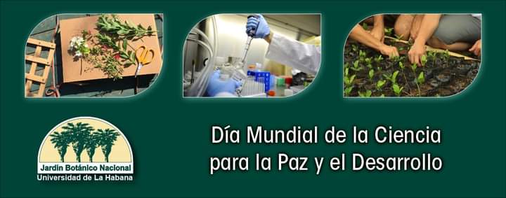 JBNUnivHabana's tweet photo. ️👨‍⚕️ El Jardín Botánico Nacional celebra el Día Mundial de la #Ciencia para la Paz y el Desarrollo con importantes resultados científicos. 

💪 30 artículos científicos, de los cuales 27 en revistas de alto impacto.

#DiaMundialdelaCiencia #DiaMundialdelaCienciaparalaPaz https://t.co/dCcW4AHKRZ