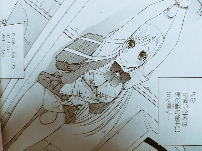 義妹シリーズの前の秘蜜シリーズの頃からトイレはよく使ってた気がする。 