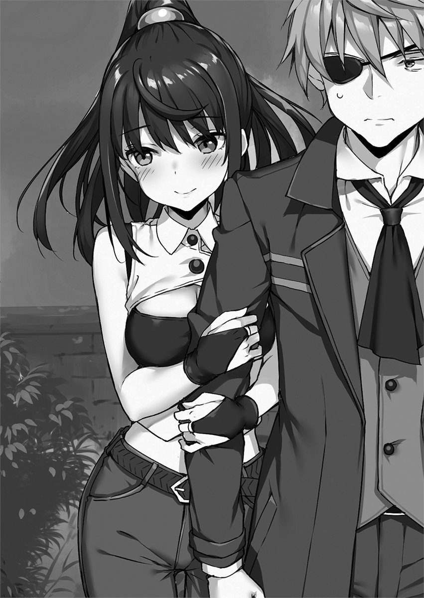 Seirei gensouki novel illustrations. Seirei gensouki аниме. Доблесть рыцаря неудачника миюки. Seirei gensouki rio. Арифурэта сидзуку яэгаси.