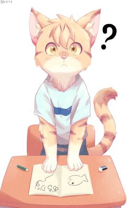 📖🐱? 