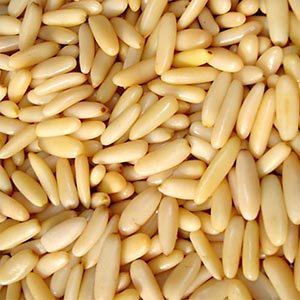 silkways_com's tweet photo. Nikan Saadat Trading Company is a verified supplier on https://t.co/VFvlEMUyEY and Afghanistan verified dry fruit supplier. You can place your order from them now. Minimum quantity ½ to 1 ton.
vendor: https://t.co/NuuCOegWh4
PLACE YOUR INQUIRY NOW!

#silkways #b2b #importexporter https://t.co/yh4aKG3j1l
