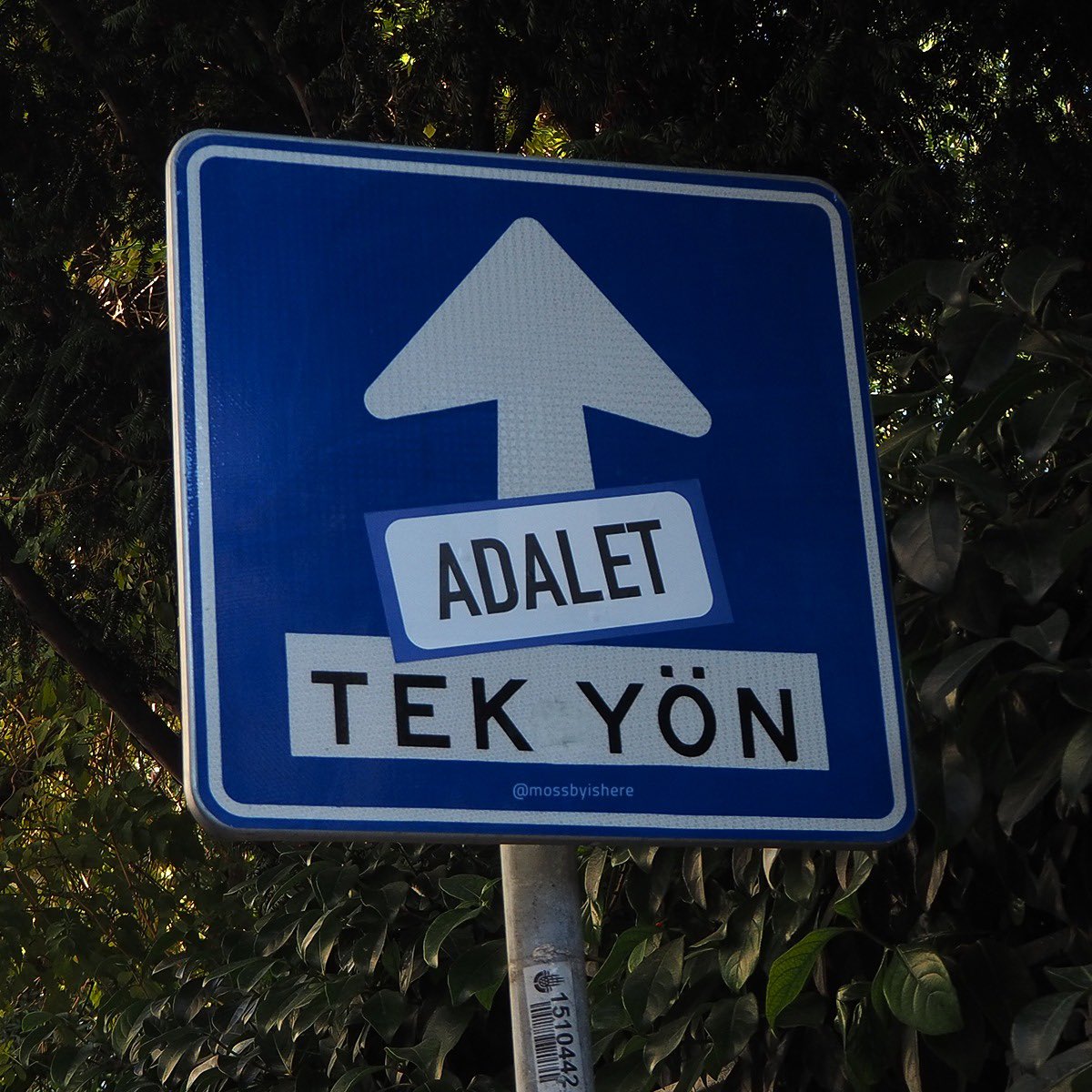 kadikoybelediye's tweet photo. ⬆️ Tek Yön 
#İstanbulSözleşmesi
#Eşitlik
#Adalet https://t.co/HYyFyCrLu9