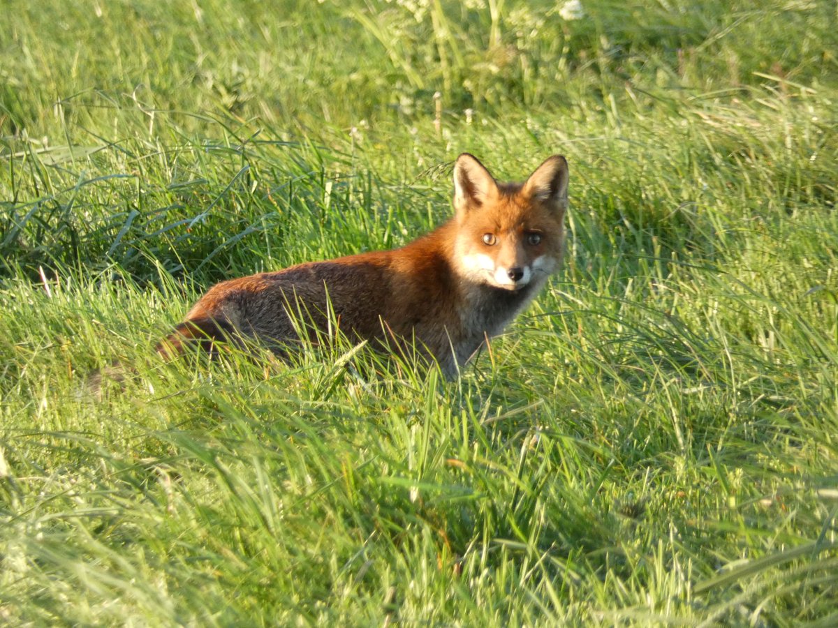 Ik vraag iedereen die van natuur houdt een zelf genomen foto te plaatsen. Alleen foto, geen tekst. Doel is om beetje rust en balans in de negatieve sfeer te creëren. Doe je mee? Kopieer tekst en plaats natuurfoto op je eigen tijdlijn. Dan kunnen we met z’n allen ervan genieten.