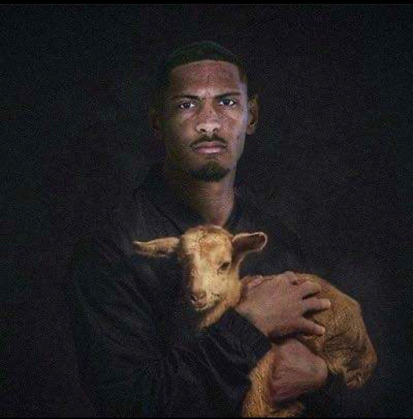 samkleine (@samkleines) on Twitter photo 