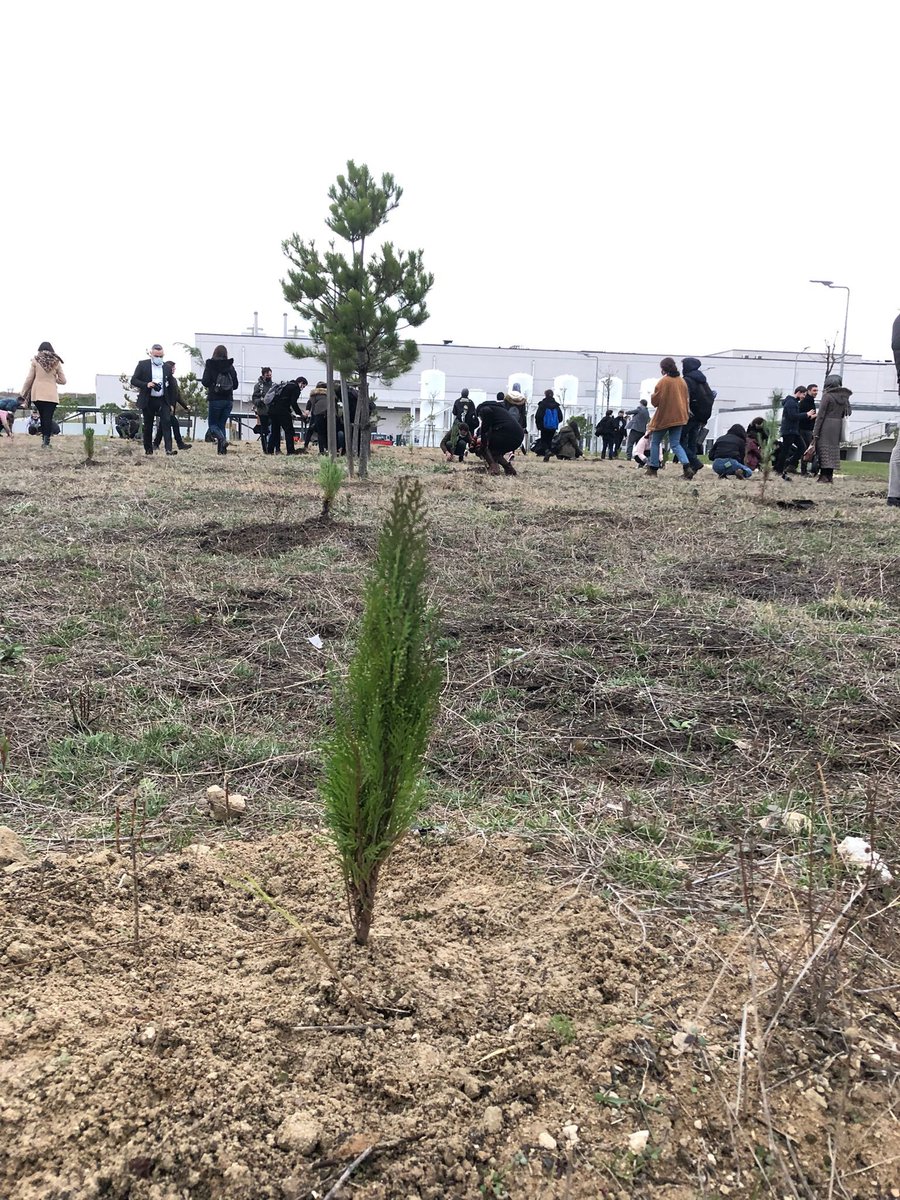 SBÜ Bursa Tıp Fakültesi 24 Kasım Öğretmenler Günü kutlaması.. Kıymetli öğrencilerimiz sizler bizim umudumuz… Geleceğimizsiniz <a href="/sbuedutr/">Sağlık Bilimleri Üniversitesi</a> <a href="/sbubursatip/">sbubursatip</a>