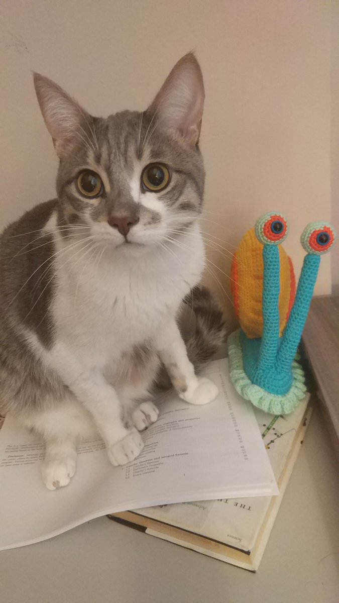 #BerkeyePeriteÖzgürlük